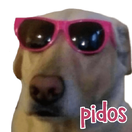 MEMES RANDOM 9