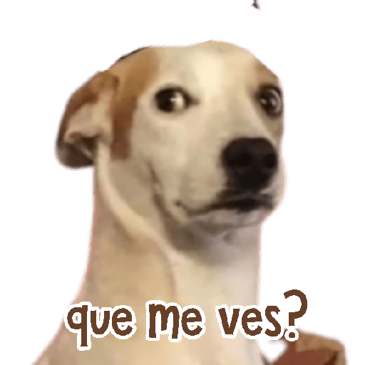 MEMES RANDOM 6
