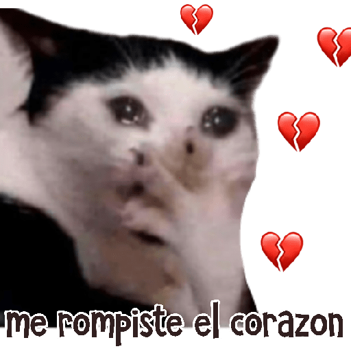 MEMES RANDOM 5
