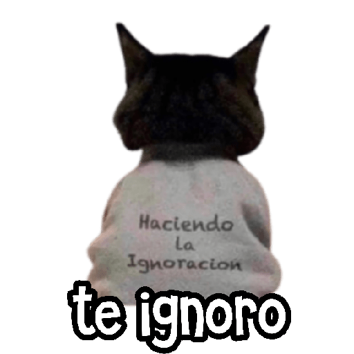 MEMES RANDOM 18