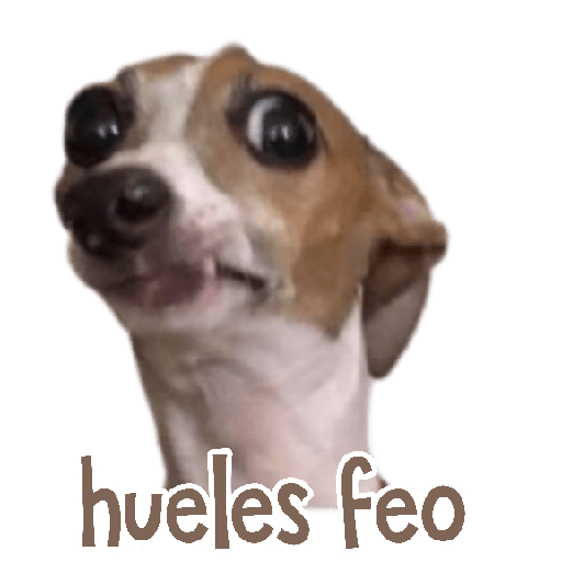 MEMES RANDOM 11