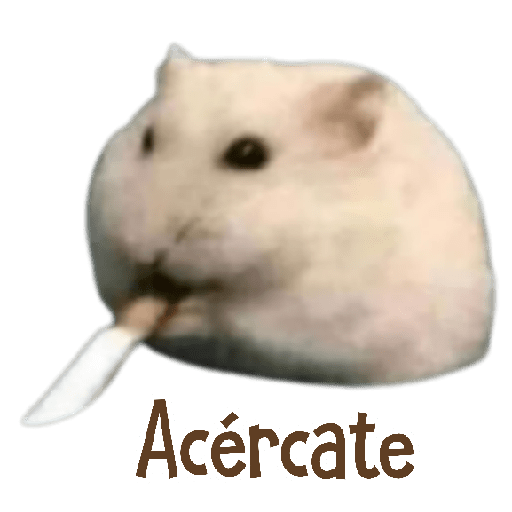 MEMES RANDOM 12