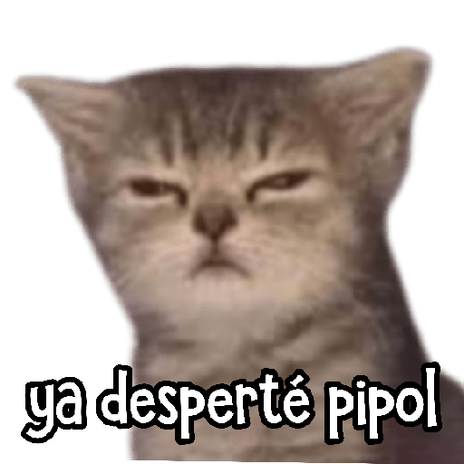 MEMES RANDOM 16