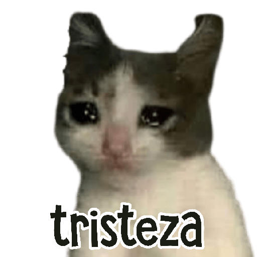 MEMES RANDOM 3