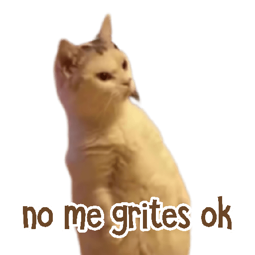 MEMES RANDOM 7