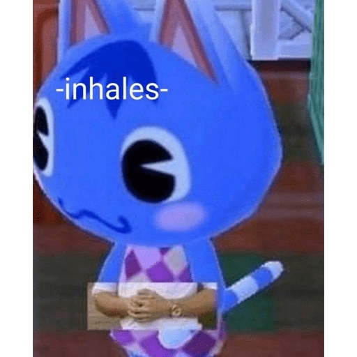 Animal crossing 13