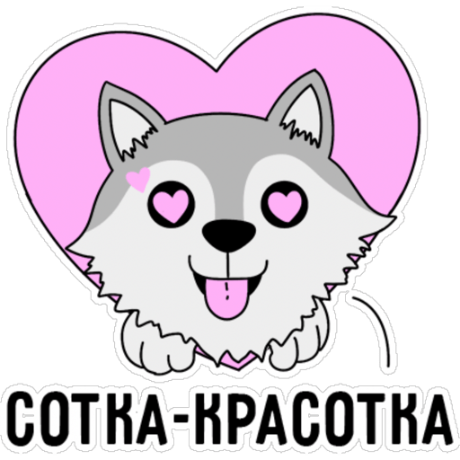Волчок