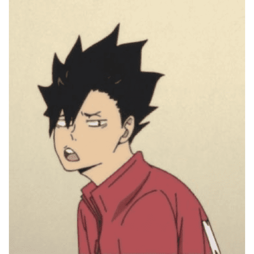 •Kuroo Testuro• 10