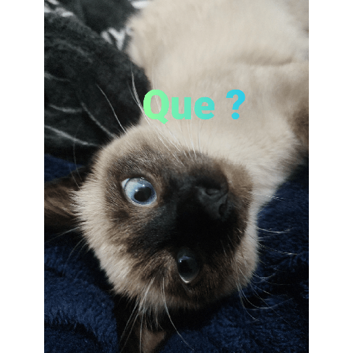 El paquete número 3 8
