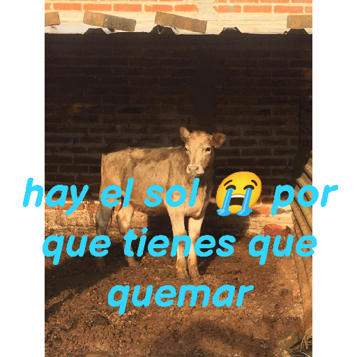 El paquete número 3 3