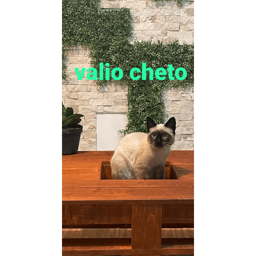 El paquete número 3 28