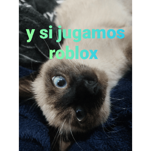 El paquete número 3 12