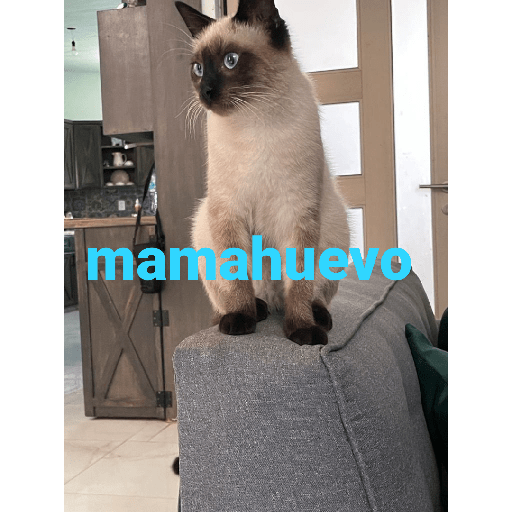 El paquete número 3 26