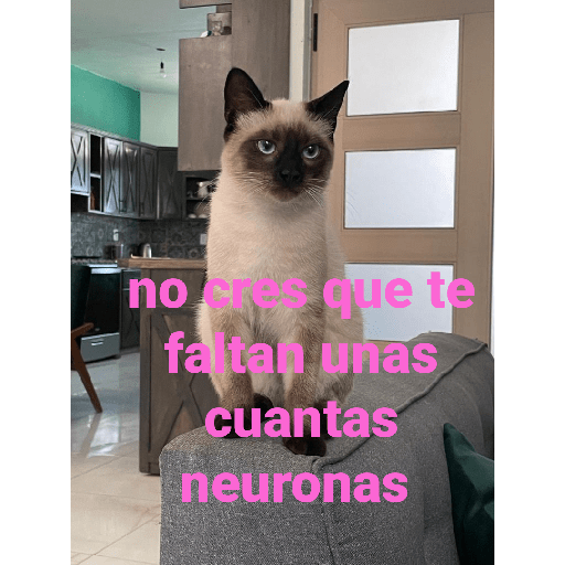 El paquete número 3 24