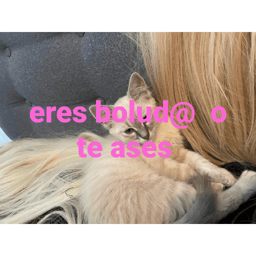 El paquete número 3 25