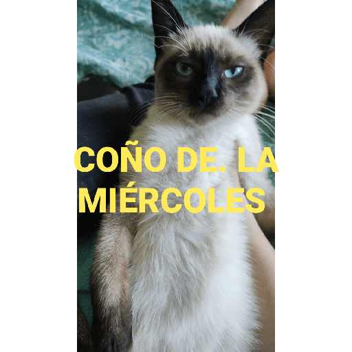 El paquete número 3 27