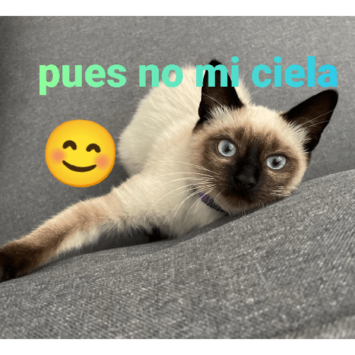 El paquete número 3 20