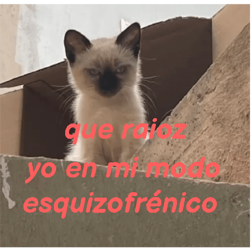 El paquete número 3 4