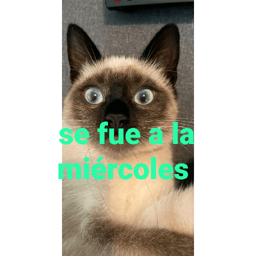 El paquete número 3 29