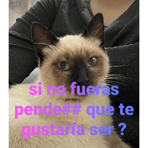 El paquete número 3 22