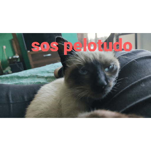El paquete número 3 23