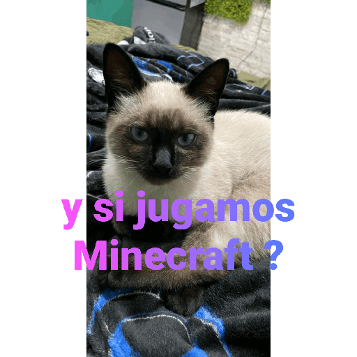 El paquete número 3 11