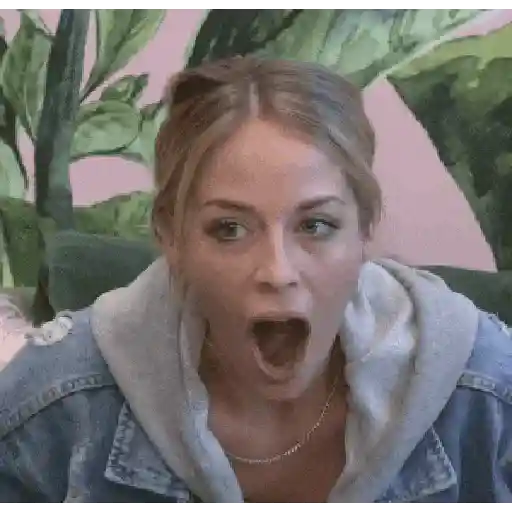 ස්ටිකර්