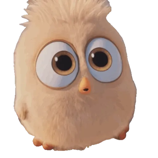 Angry Birds 13