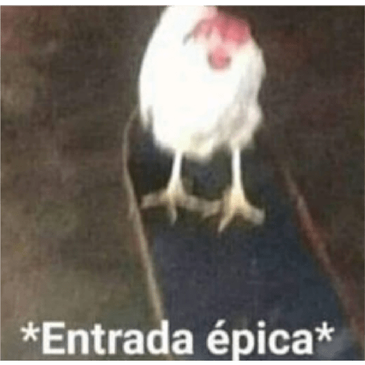 Algo random 8