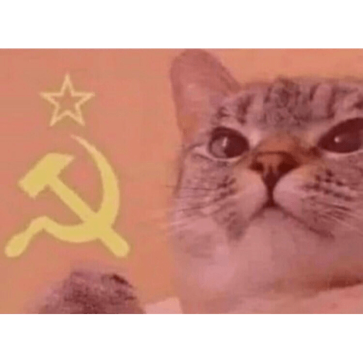 اسٹیکر