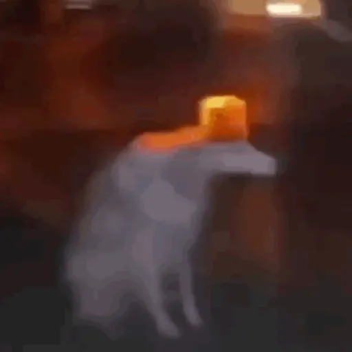 Macaco caco e seus amigos 4