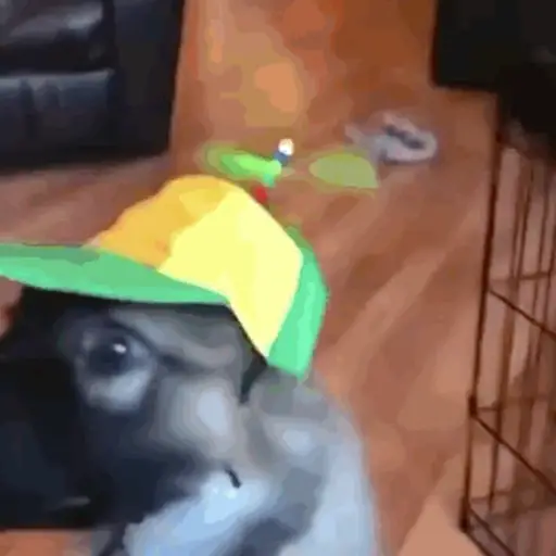 Macaco caco e seus amigos 7
