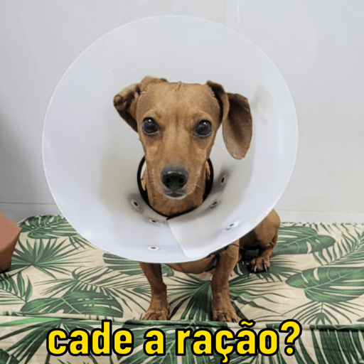 Agosto2023 4