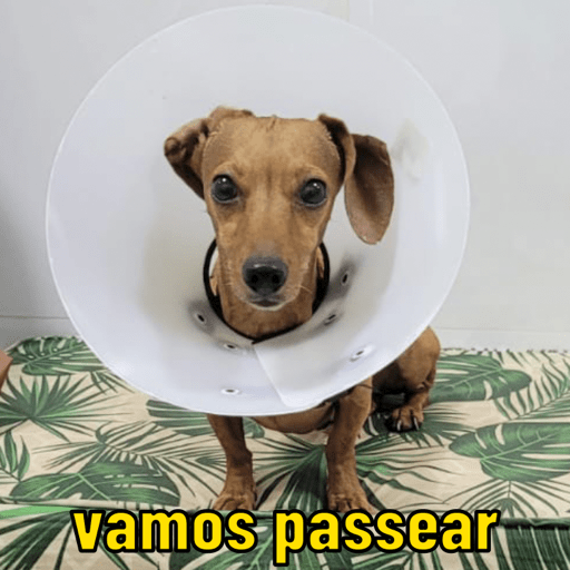 Agosto2023 5