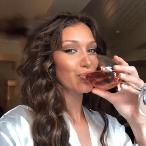 Bella Hadid 2