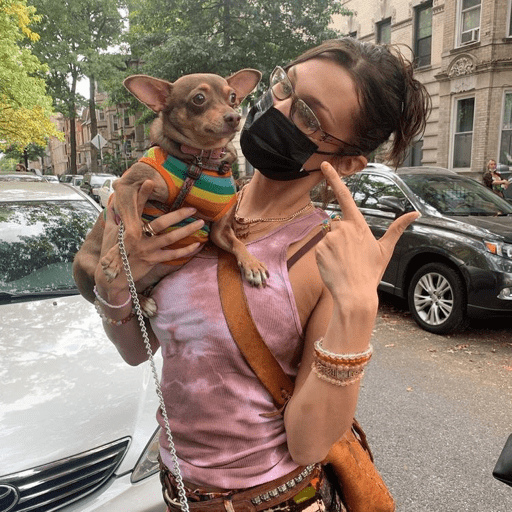Bella Hadid 26