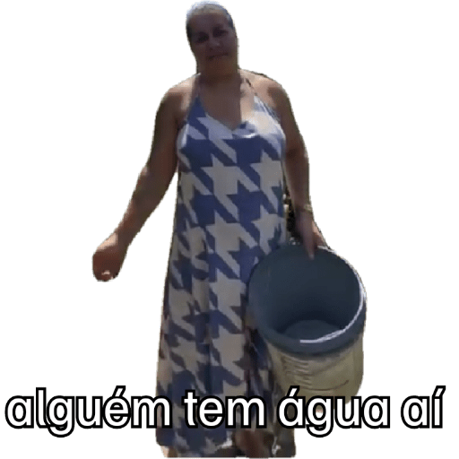 Fernando roraimesantos 3