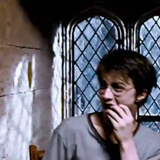 🪄✨Harry Potter Mov 🪄✨