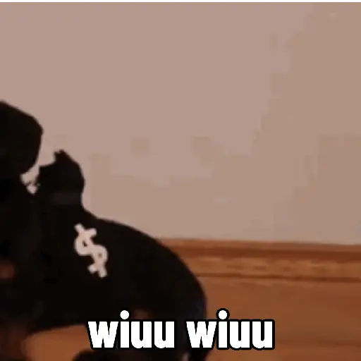 Perros salchicha Mov 14