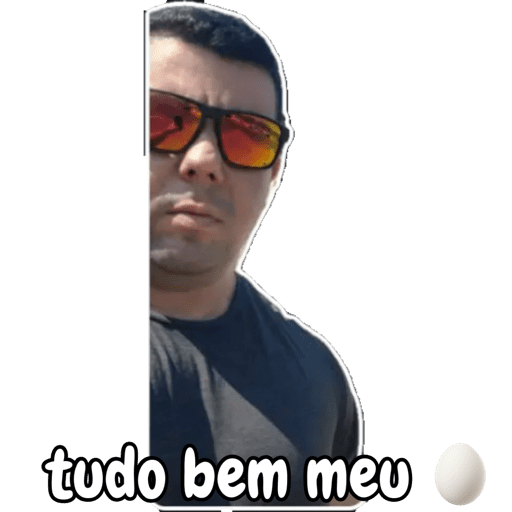 Minhas figurinhas 8