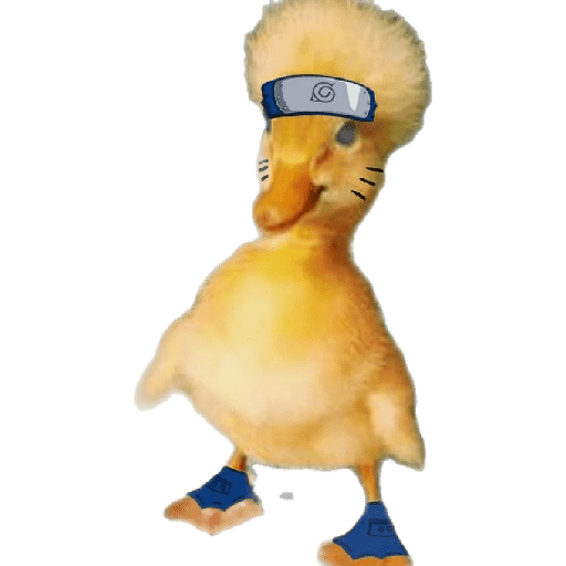Patos patos patoooo 4