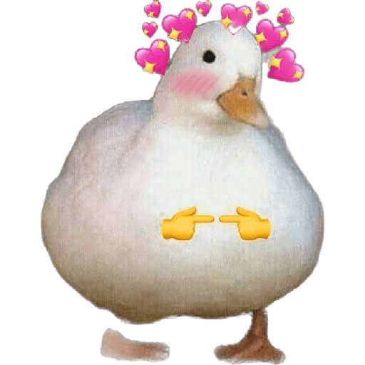 Patos patos patoooo 2