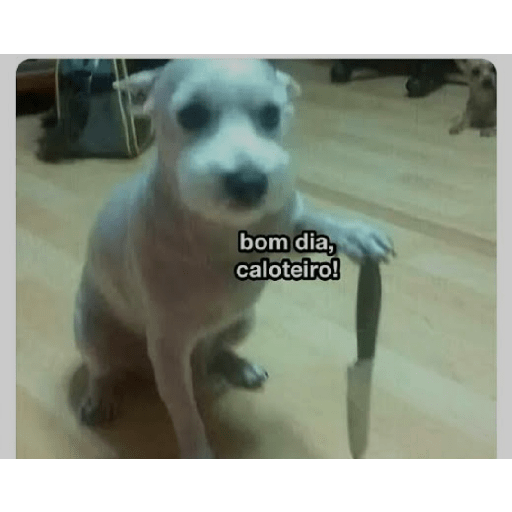 Figurinha 1