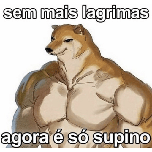 Figurinha 17