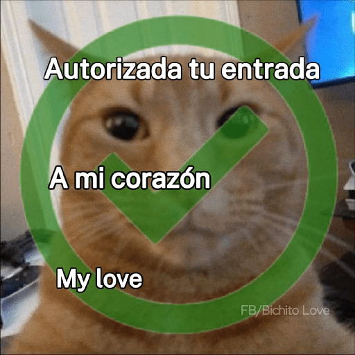 No sé 3