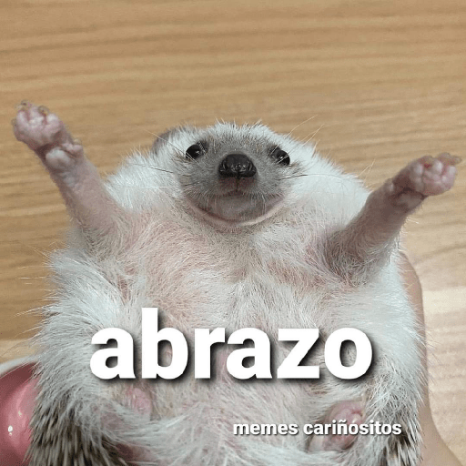 No sé 8