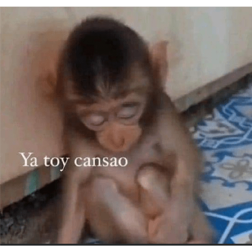 No sé 22