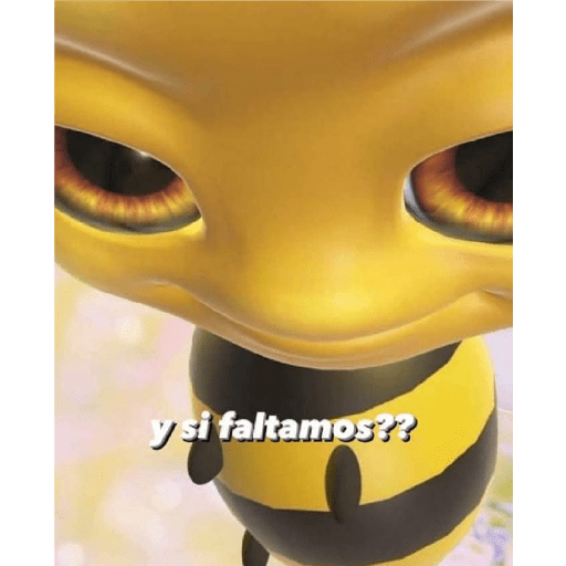 No sé 24