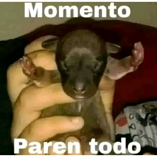 No sé 14