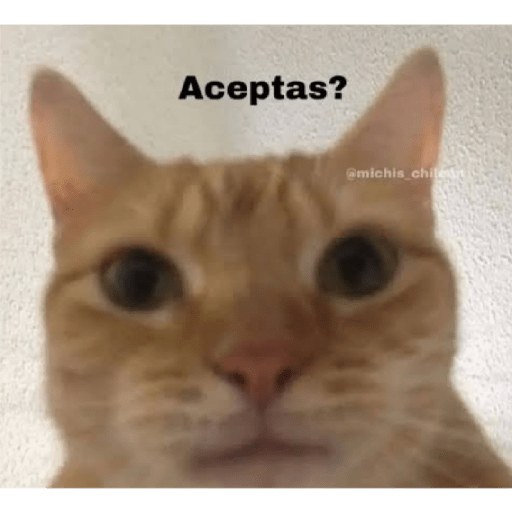 No sé 13